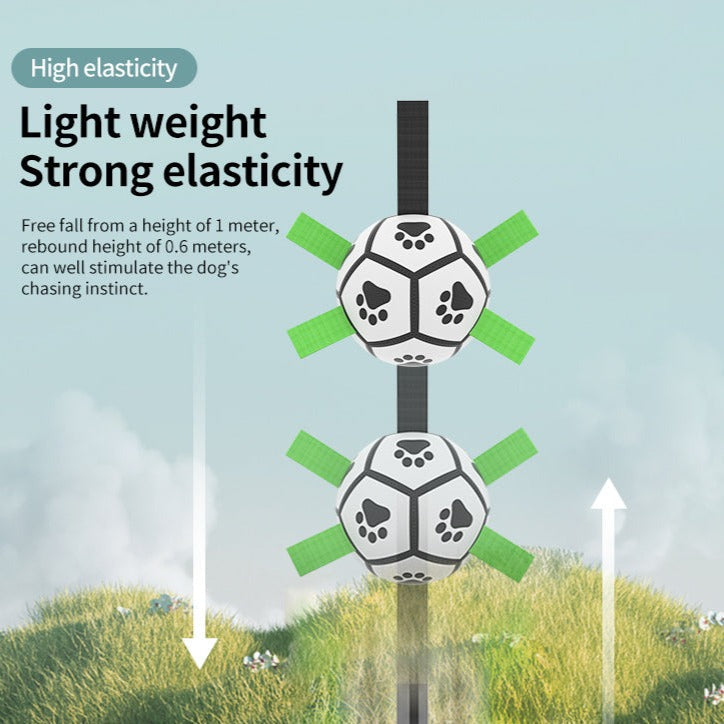 Interactive Soccer Ball for Dogs