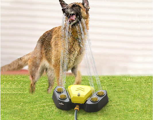 Automatic Water Fountain for Dogs