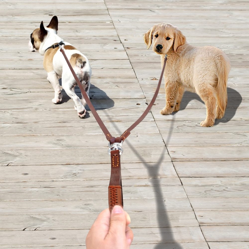 2-Dog Walker Dog Leash