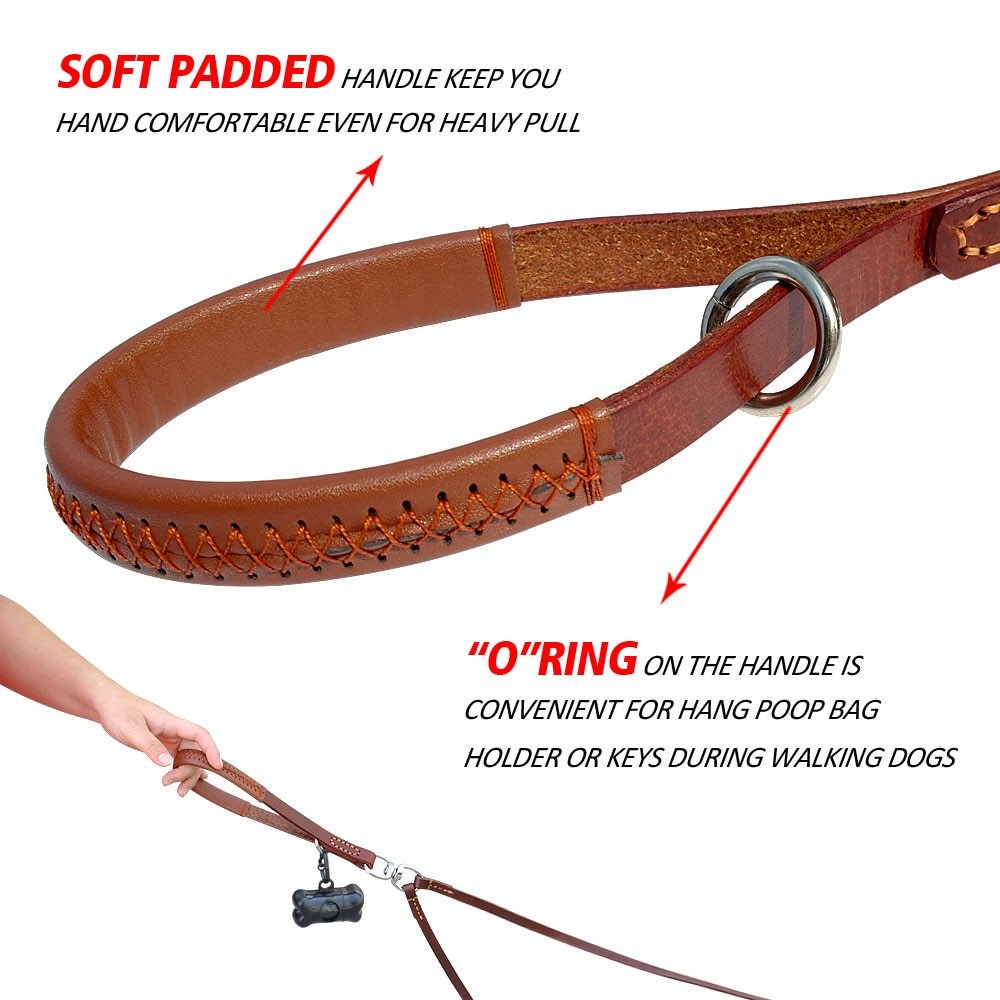 2-Dog Walker Dog Leash