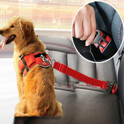 Car Safety Belt