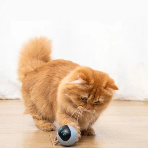 Smart Cat Toy