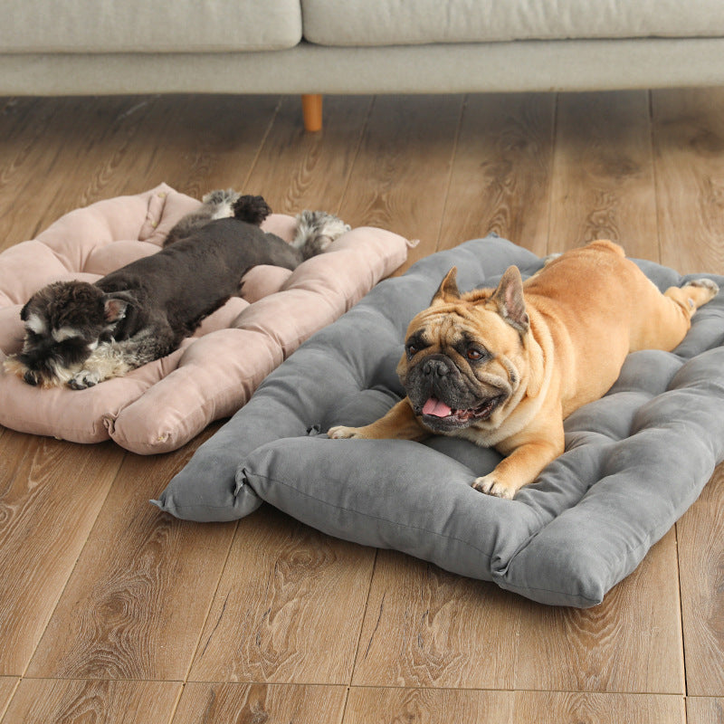 Transforming Mattress Pet Bed