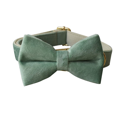 Mint Green Bow & Leash Set