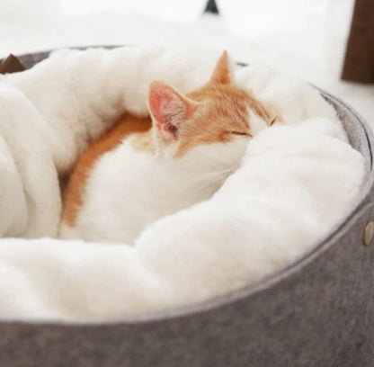 Wrap-around Comfort Pet Bed