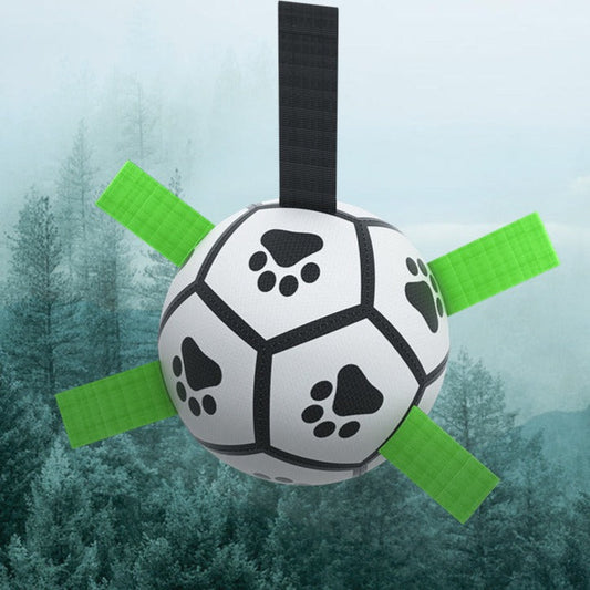 Interactive Soccer Ball for Dogs