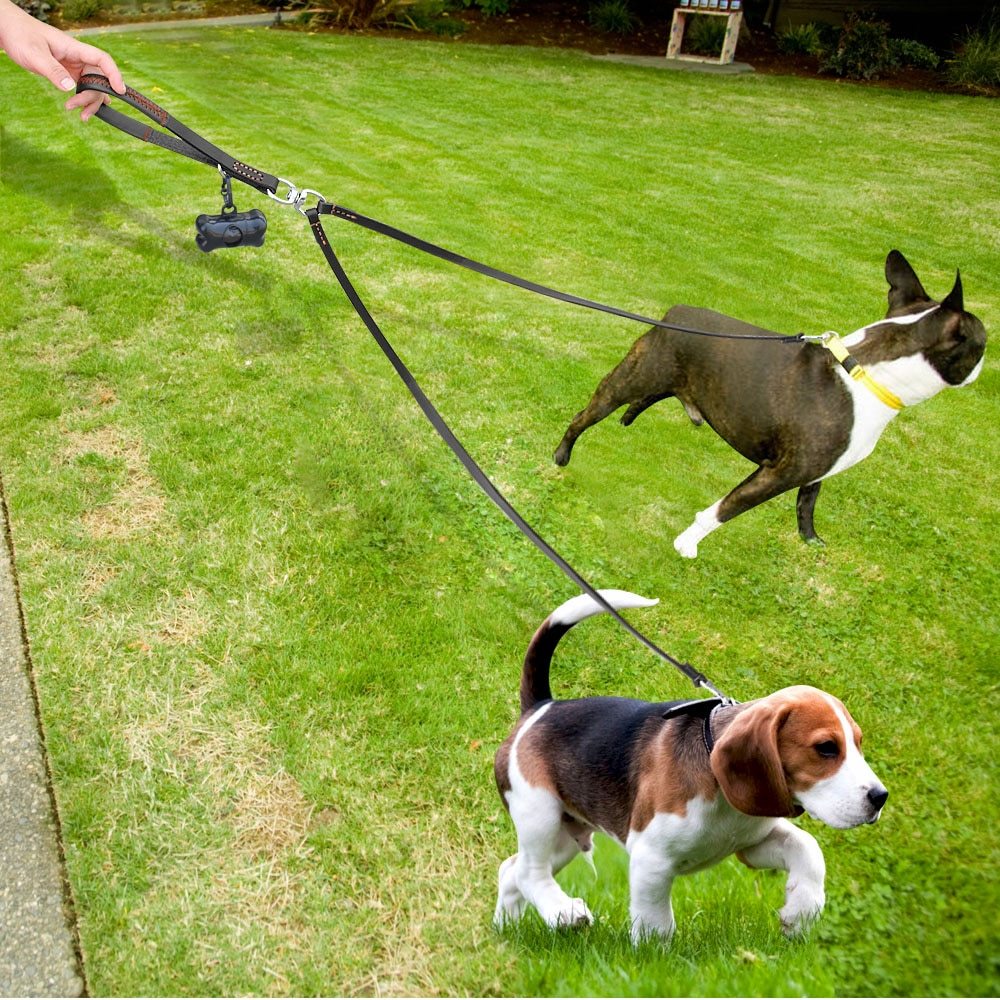 2-Dog Walker Dog Leash