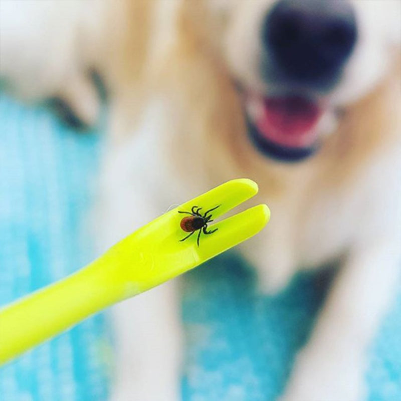 Tick Remover Set