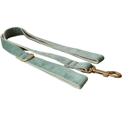 Mint Green Bow & Leash Set