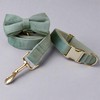 Mint Green Bow & Leash Set