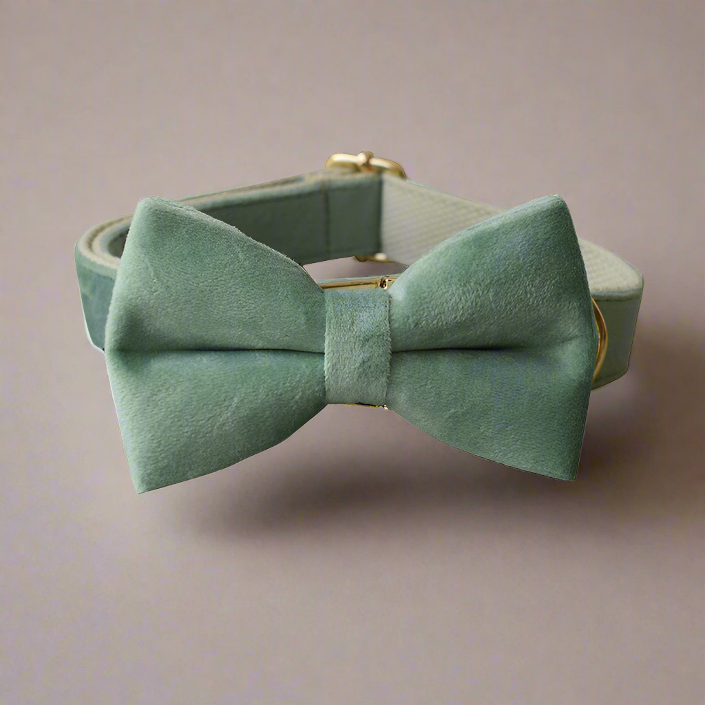 Mint Green Bow & Leash Set