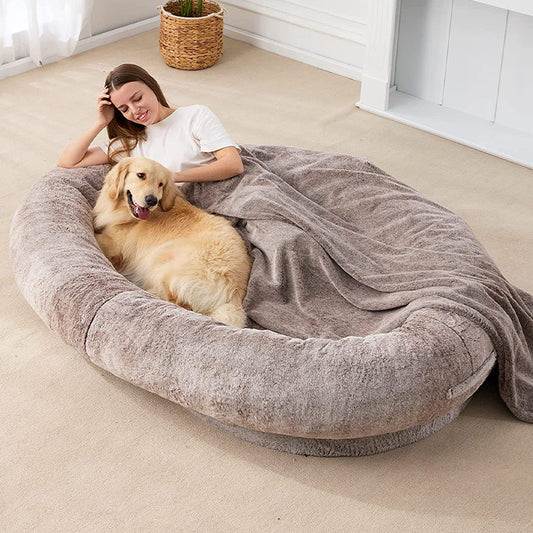 Human-Sized Dog Bed